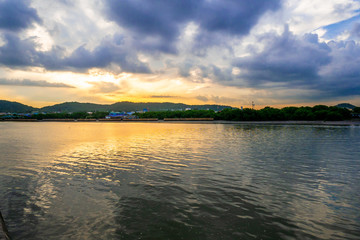 Mangrove forest and city