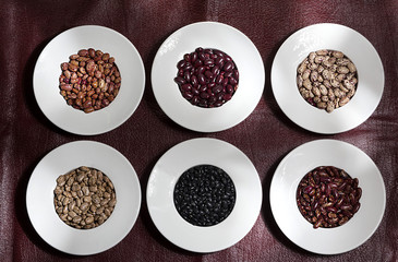 Phaseolus vulgaris Cranberry Group- bean cargamanto in its different presentations in white ceramic bowl and red background texture