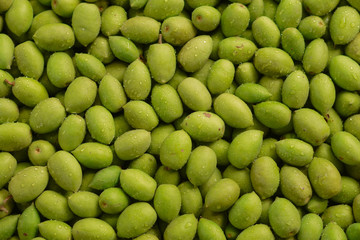 Olives, local plants in tropical jungle, South East Asia, Thai herbs, Sour herbs, green fruits, sour fruits. Suitable for fermented or chilled to eat as a snack.