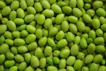 Olives, local plants in tropical jungle, South East Asia, Thai herbs, Sour herbs, green fruits, sour fruits. Suitable for fermented or chilled to eat as a snack.