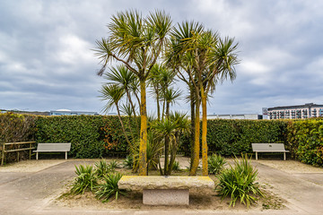 Fototapeta premium Gardens of the Sea (Les Jardins de la Mer) view. Les Jardins de la Mer is a small, beautiful and well-maintained public park with formal plantings between esplanade and beach. St Helier, Jersey, UK.