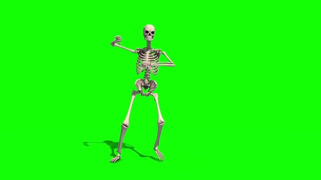 Skeleton Dancer Gangnam Style Green Screen 3D Rendering Animation