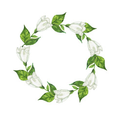White flowers and green leaves round frame isolated on white background. Hand drawn watercolor illustration.