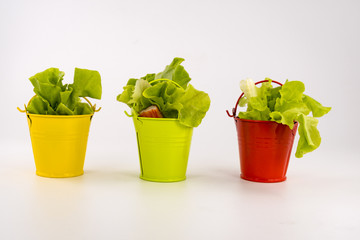 Salad Roll Crab Salad Roll with Spicy Seafood Sauce on white table. Multicolored small buckets decorating item.