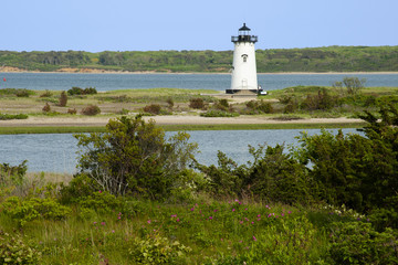Harbor Lighthouse Surrounded by Roses and Wildflowers on Martha's Vineyard Island