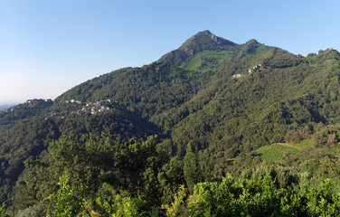 Fototapeta na wymiar San-Giovanni-di-Moriani mountain in corsica