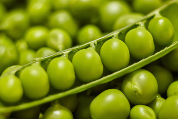 Peas pod and peal of peas. Close up.