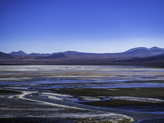Colourful lagoon and flamingos in Laguna Colorado in Bolivia