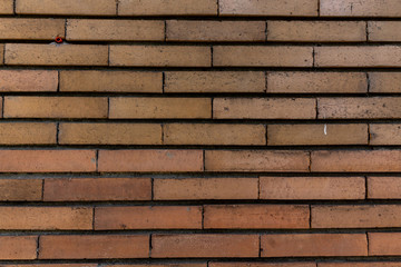 Vintage brick wall texture background 