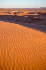 Descubriendo el desierto