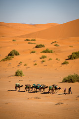 Fototapeta na wymiar Caravana en el desierto
