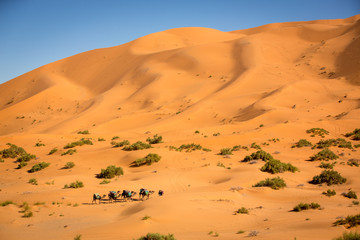 Caravana en el desierto