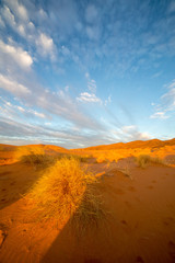 Dunas al amanecer © Xevi Vilaregut