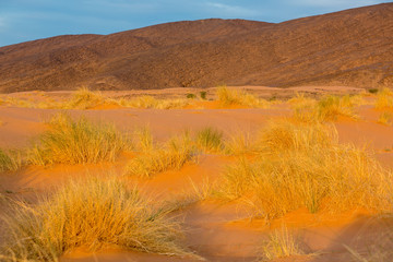 Dunas al amanecer © Xevi Vilaregut