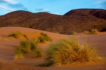 Dunas al amanecer © Xevi Vilaregut