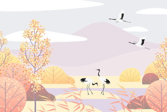 Simple Autumn Lanscape with Red-crowned Cranes