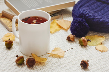 Fall composition. Cup of hot berry tea, yellow autumn leaves, acorns, warm hat and pile of books on white knitted background