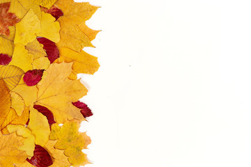 Top view of autumn leaves on white background
