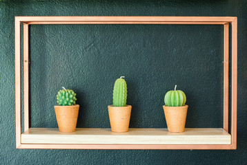 Three candles molded in different kinds of cactus plant placing in a photo frame on the cement wall