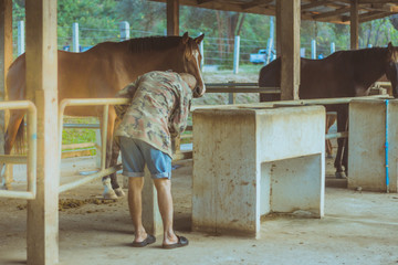 The old trainer  take care of his horse after being trained in a riding school. Focus on man.