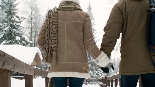 Tilt down rear view of romantic couple holding hands and walking in park at snowy winter day
