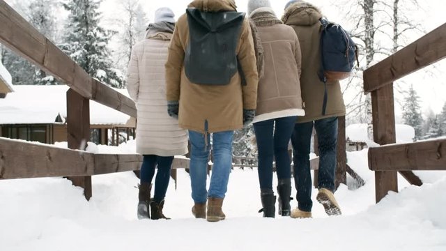 Rear view of company of four friends walking together in national park at snowy winter day