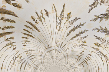 Kaleidoscopic Pattern of a Herbarium