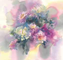 pink and white peonies in color background watercolor