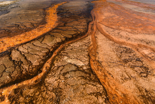 Abstract Of Midway Geyser Basin, Yellowstone