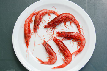 red shrimps