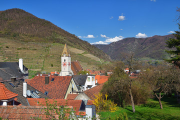 Fototapeta premium Spitz an der Donau - Wachau