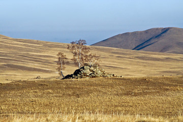 Three sisters.  Три сестры