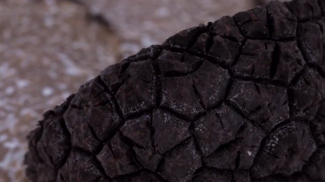 Super macro shot of a black truffle peel rotating on the on the turntable. Blurred slices on the background. Isolated on the white background. Closeup.
