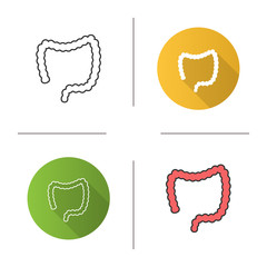 Large intestine icon