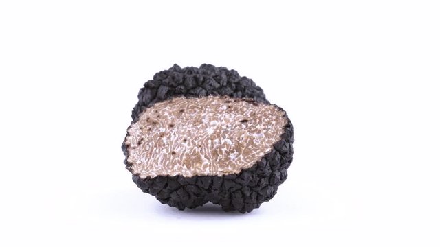 Two halves of a black truffle mushroom rotating on the on the turntable isolated on the white background. Closeup.