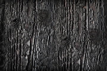 Textured charred wood.
