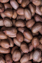 woman's hands with different cereals