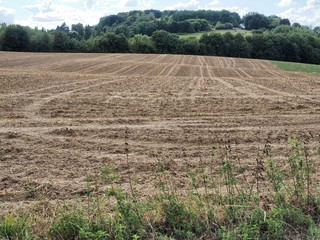 gepfl&uuml;gtes Feld im Siebengebirge