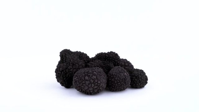 Bunch of a black truffle mushrooms rotating on the on the turntable isolated on the white background. Closeup.