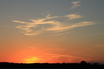Orange sunset