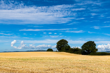 Strange cloud formations over a wheat field in Wales