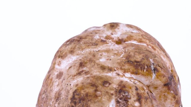 Macro of a white truffle mushroom skin. Rotating on the on the turntable isolated on the white background. Closeup.
