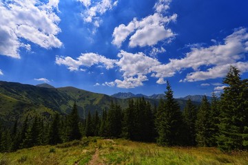 Fototapeta na wymiar Western Tatras National Park