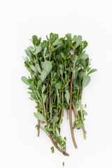 Fresh purslane in the beam on a white background