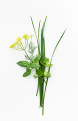 Bunch of Basil, parsley, dill and jusai on white