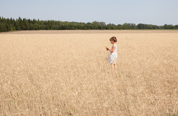 Naklejka na ściany i meble Girl 4 years on an oat field
