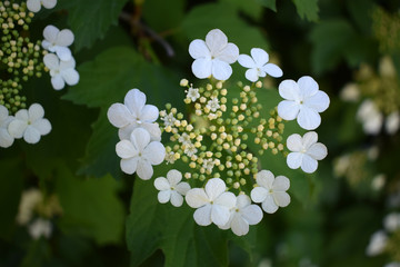 Der Bochumer Stadtpark