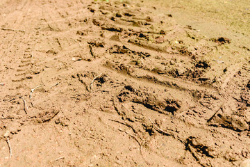 Tractor wheel tracks on wet mud.
