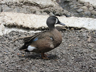 Es hora de compartir la vida con viralviajes 