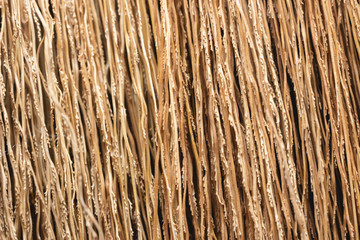 Detail of broom